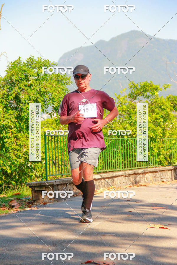 Buy your photos of the eventVelox Run on Fotop