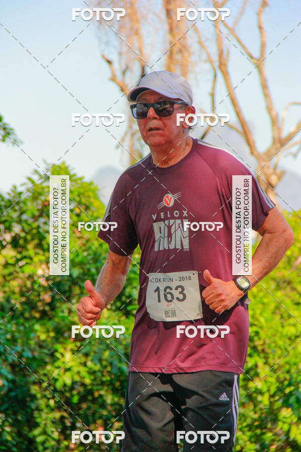 Buy your photos of the eventVelox Run on Fotop