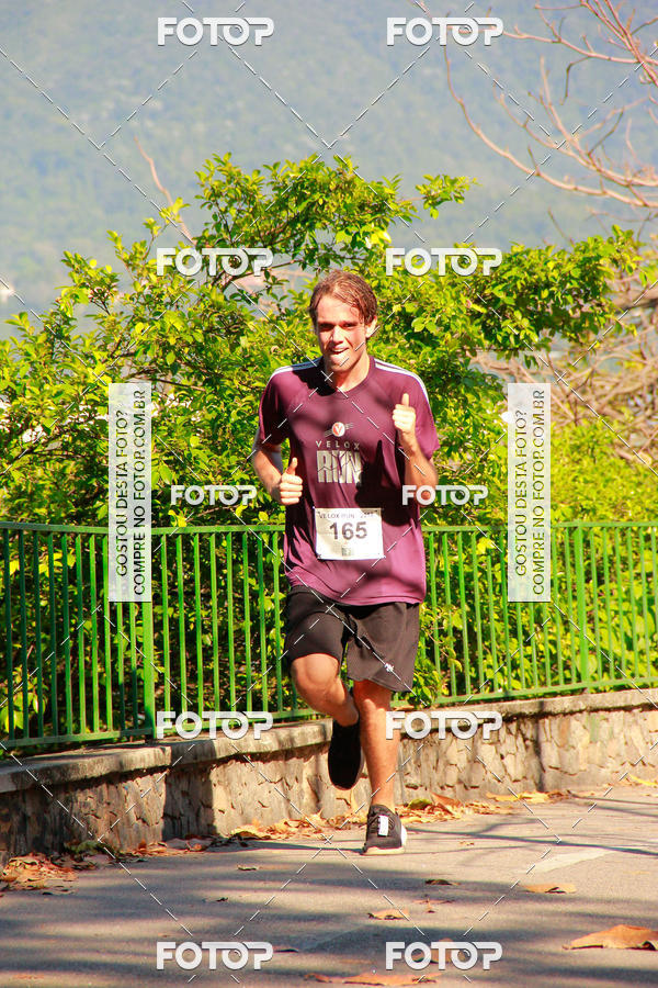 Buy your photos of the eventVelox Run on Fotop