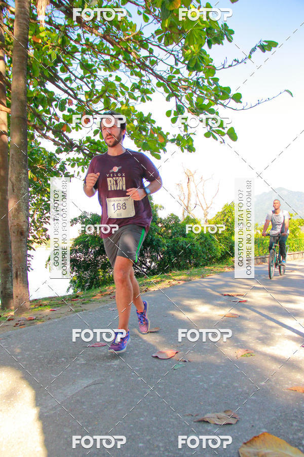 Buy your photos of the eventVelox Run on Fotop