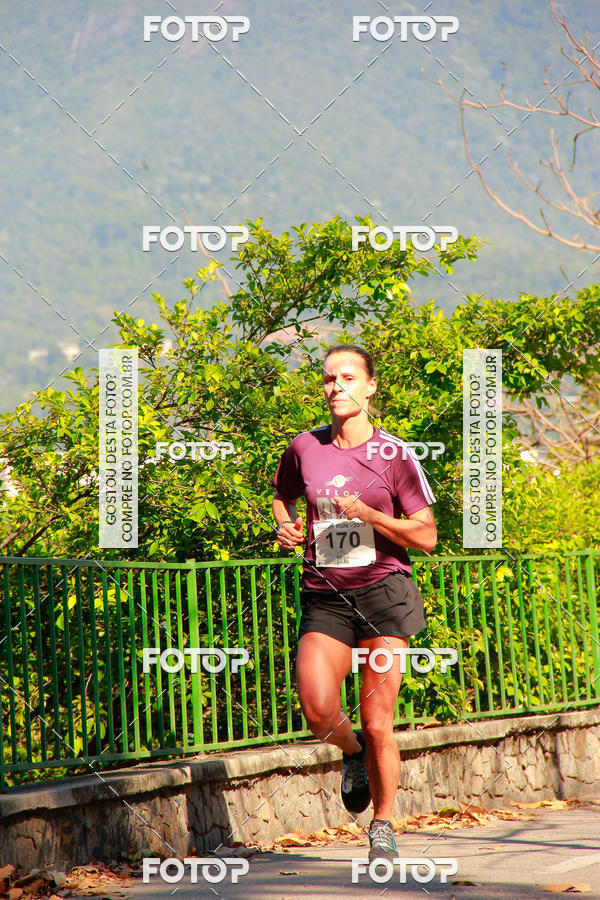 Buy your photos of the eventVelox Run on Fotop