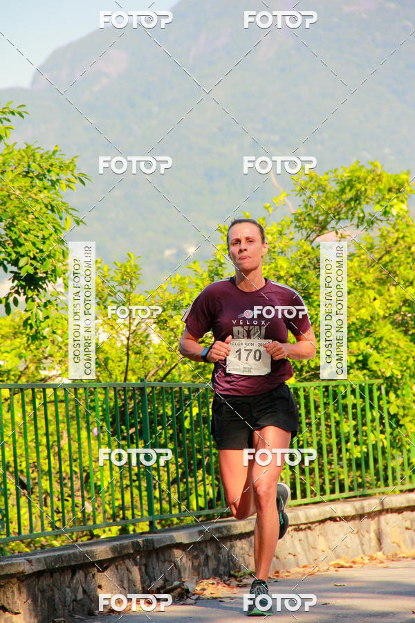 Buy your photos of the eventVelox Run on Fotop