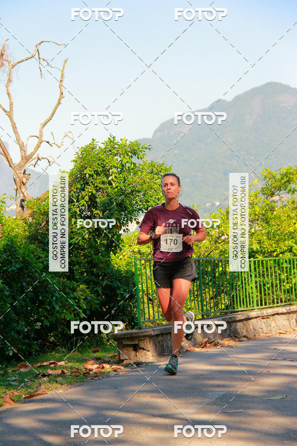 Buy your photos of the eventVelox Run on Fotop