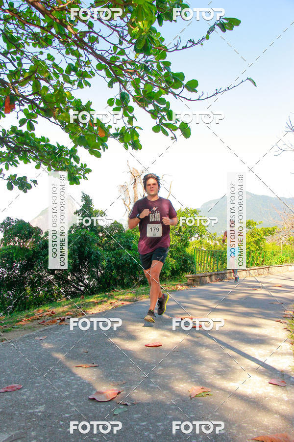 Buy your photos of the eventVelox Run on Fotop