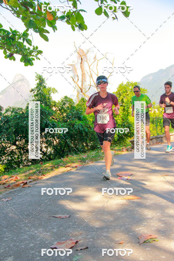 Buy your photos of the eventVelox Run on Fotop