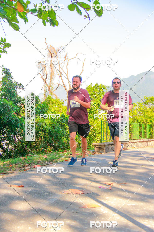 Buy your photos of the eventVelox Run on Fotop