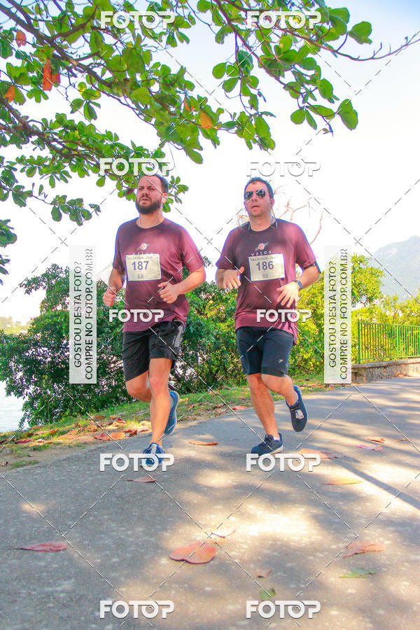 Buy your photos of the eventVelox Run on Fotop