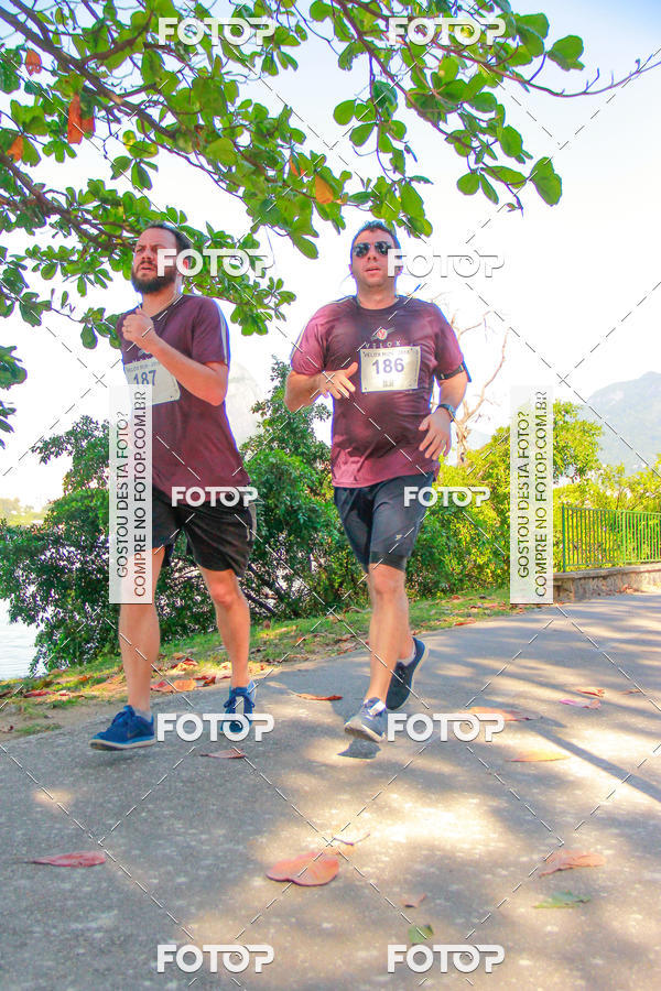 Buy your photos of the eventVelox Run on Fotop