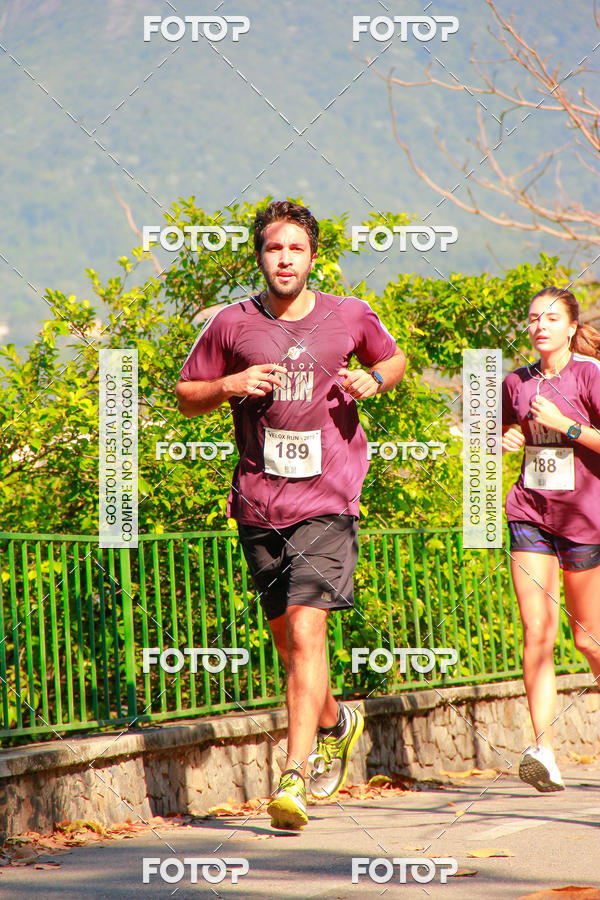 Buy your photos of the eventVelox Run on Fotop