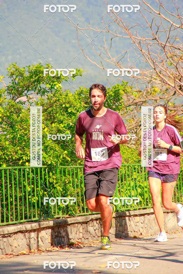 Buy your photos of the eventVelox Run on Fotop