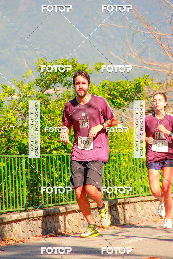 Buy your photos of the eventVelox Run on Fotop