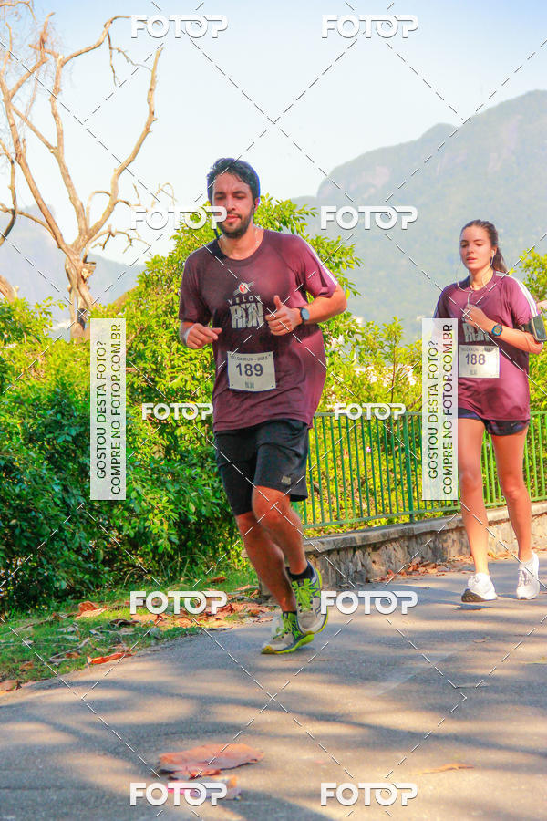Buy your photos of the eventVelox Run on Fotop