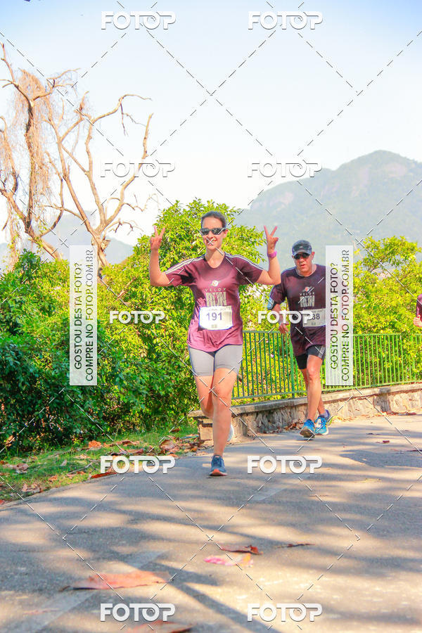 Buy your photos of the eventVelox Run on Fotop