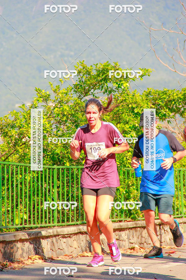 Buy your photos of the eventVelox Run on Fotop