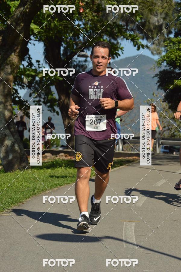 Buy your photos of the eventVelox Run on Fotop