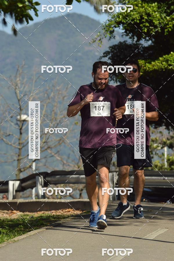 Buy your photos of the eventVelox Run on Fotop