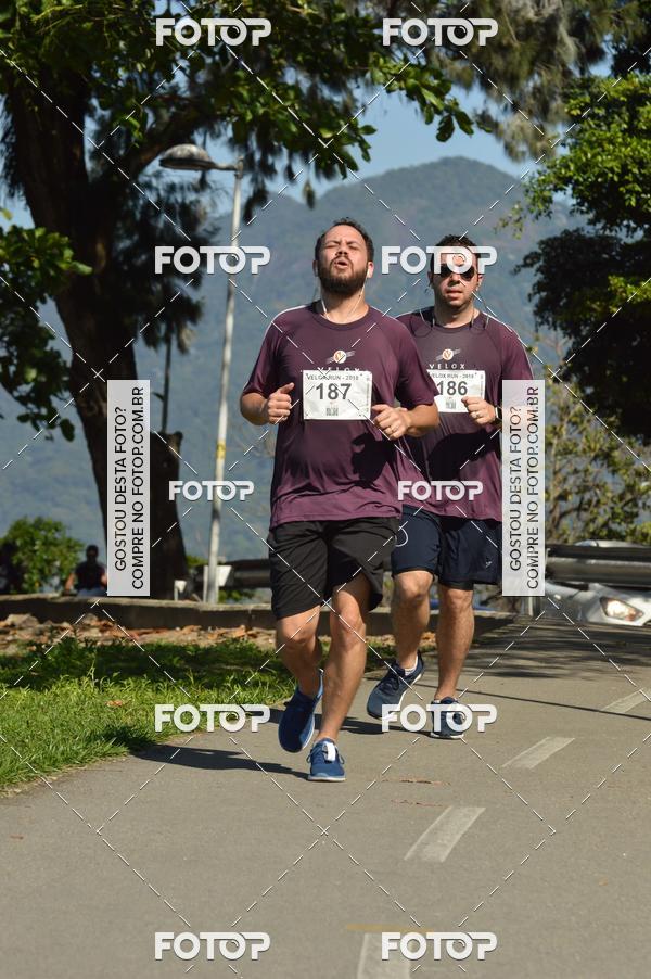 Buy your photos of the eventVelox Run on Fotop