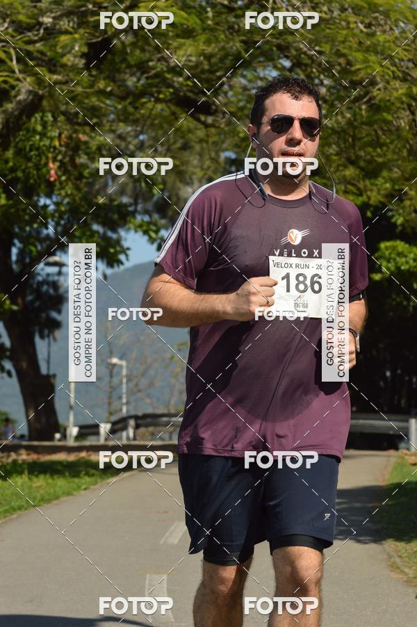 Buy your photos of the eventVelox Run on Fotop