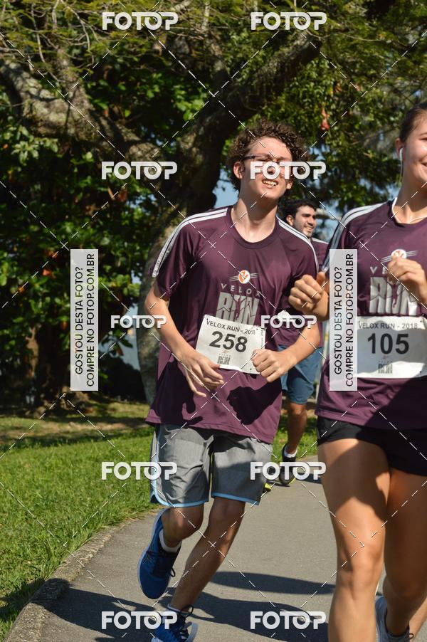 Buy your photos of the eventVelox Run on Fotop