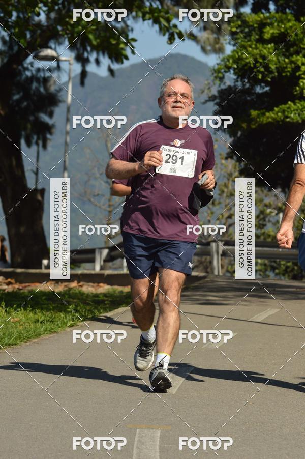 Buy your photos of the eventVelox Run on Fotop