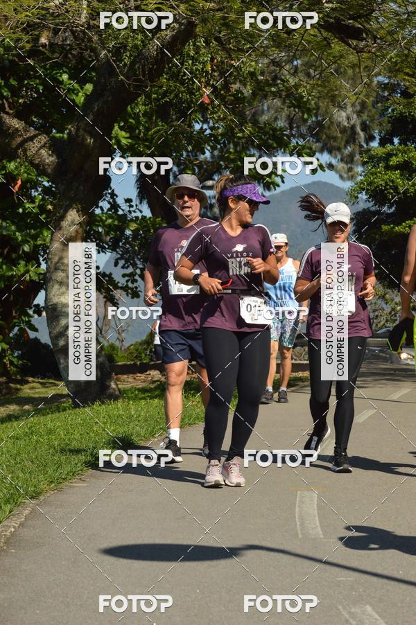 Buy your photos of the eventVelox Run on Fotop