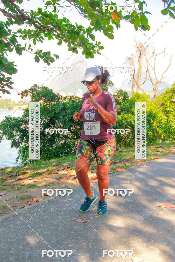 Buy your photos of the eventVelox Run on Fotop