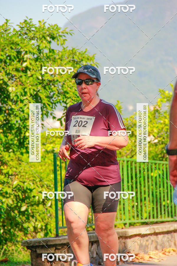 Buy your photos of the eventVelox Run on Fotop