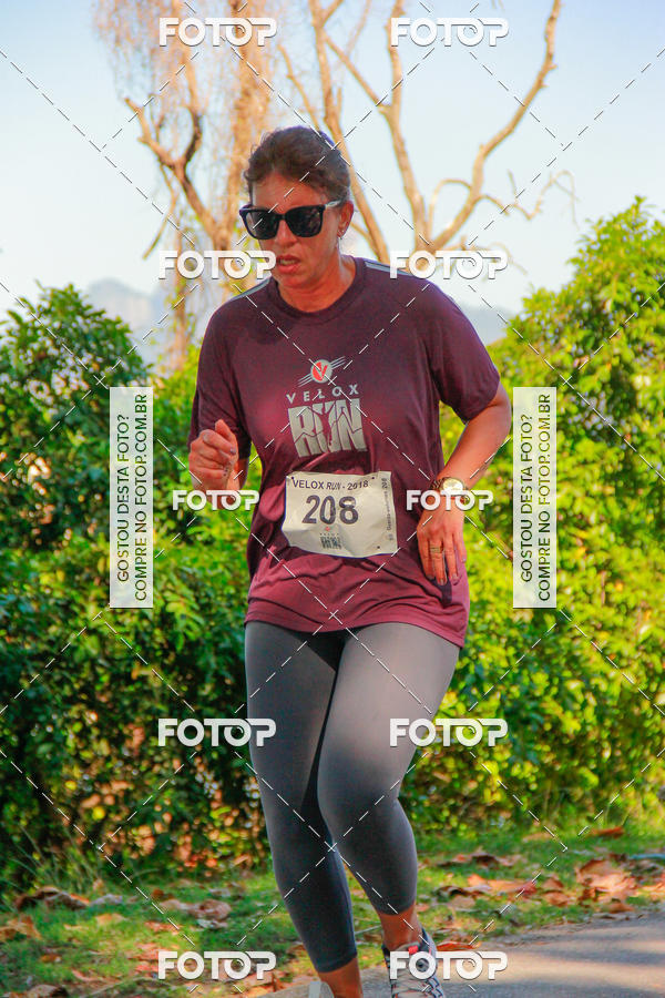 Buy your photos of the eventVelox Run on Fotop