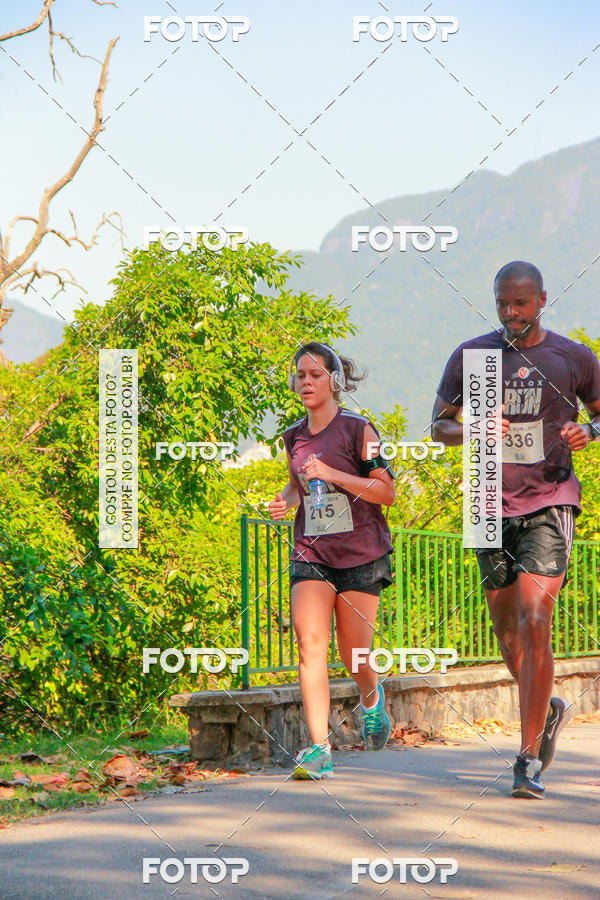 Buy your photos of the eventVelox Run on Fotop