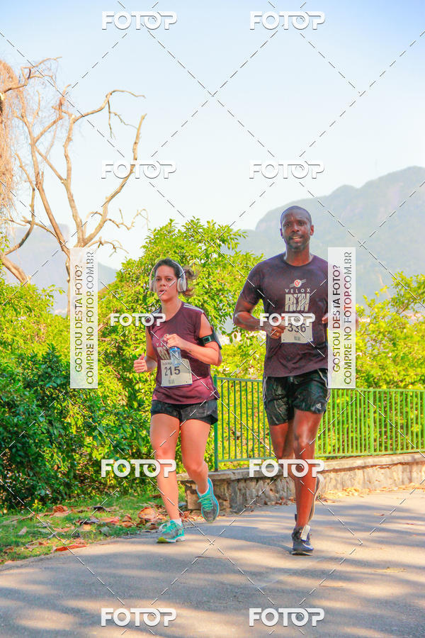 Buy your photos of the eventVelox Run on Fotop