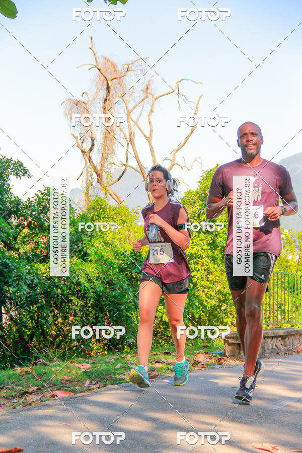 Buy your photos of the eventVelox Run on Fotop