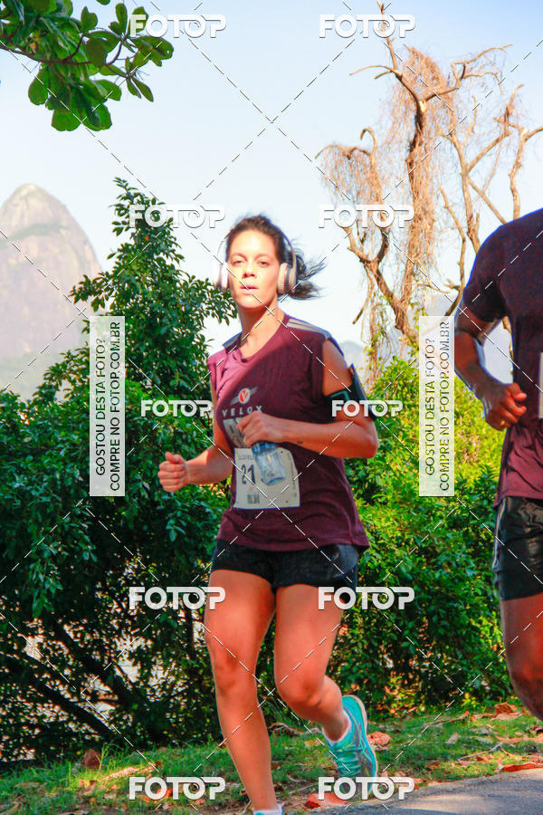 Buy your photos of the eventVelox Run on Fotop