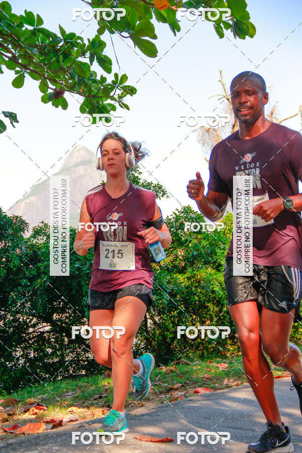 Buy your photos of the eventVelox Run on Fotop