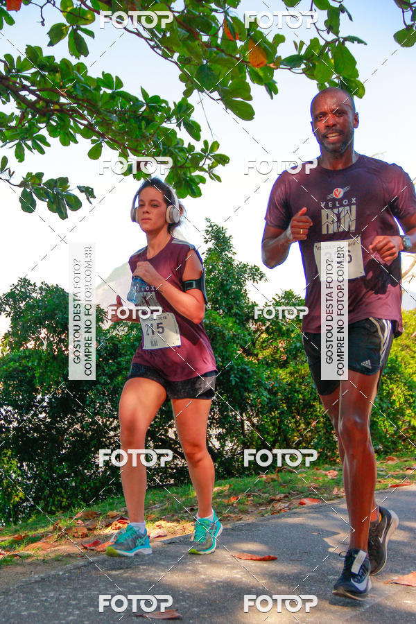 Buy your photos of the eventVelox Run on Fotop