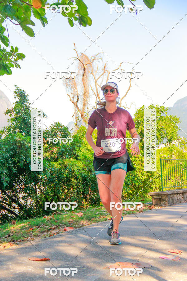 Buy your photos of the eventVelox Run on Fotop