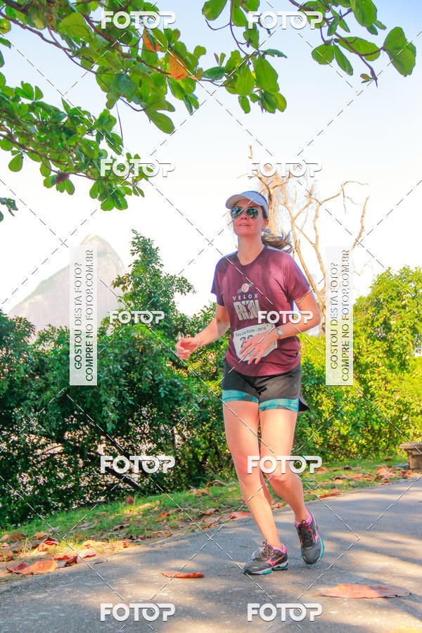 Buy your photos of the eventVelox Run on Fotop