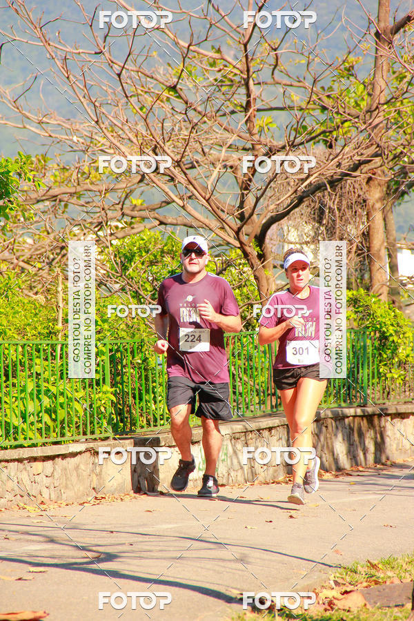 Buy your photos of the eventVelox Run on Fotop