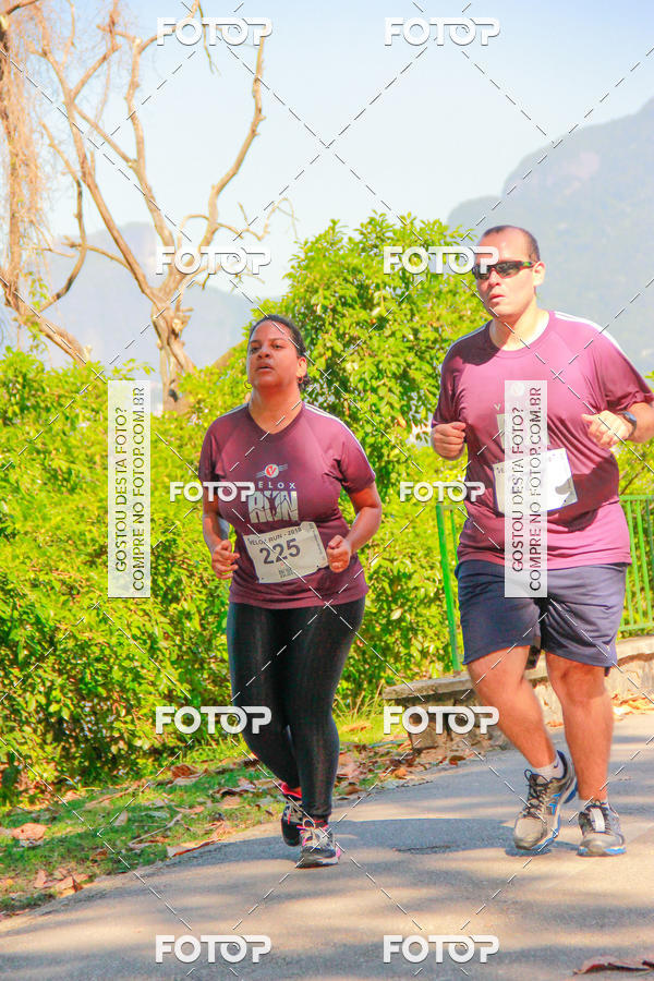 Buy your photos of the eventVelox Run on Fotop