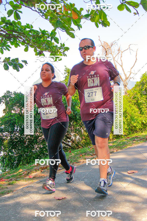 Buy your photos of the eventVelox Run on Fotop