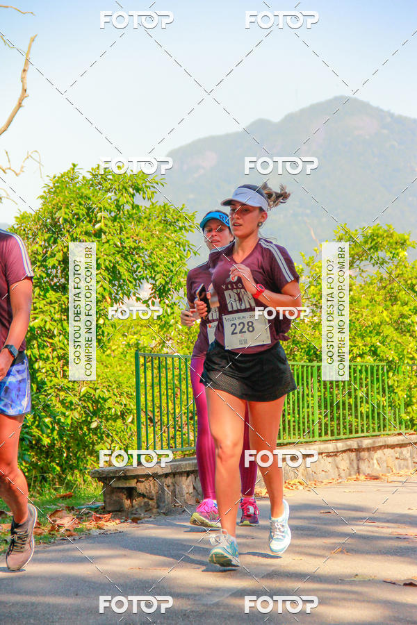 Buy your photos of the eventVelox Run on Fotop