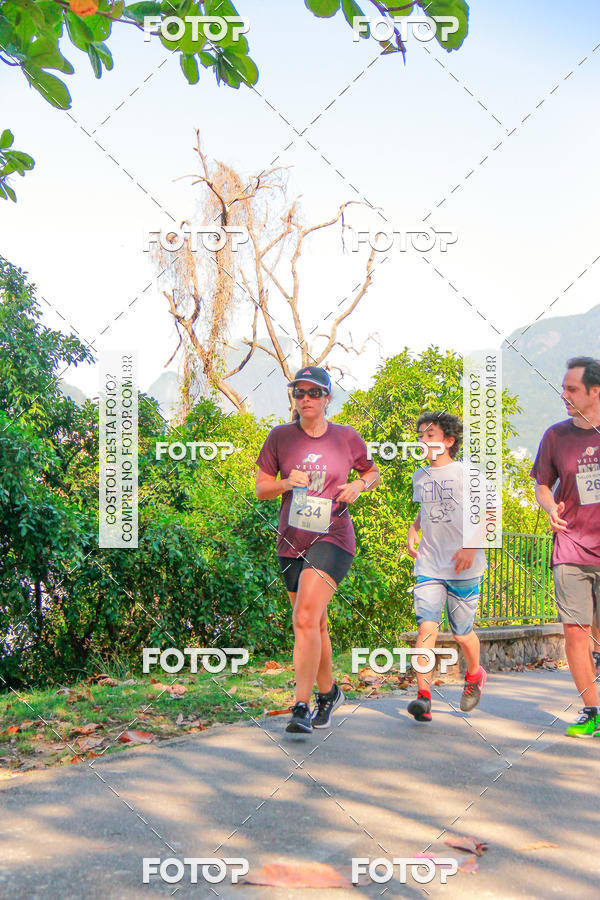 Buy your photos of the eventVelox Run on Fotop