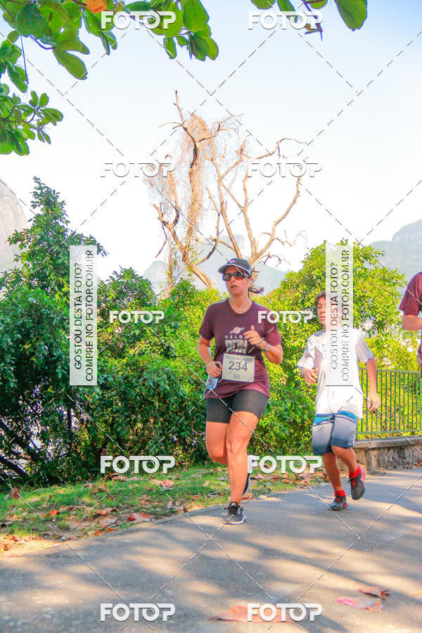 Buy your photos of the eventVelox Run on Fotop