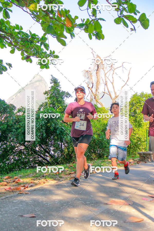 Buy your photos of the eventVelox Run on Fotop