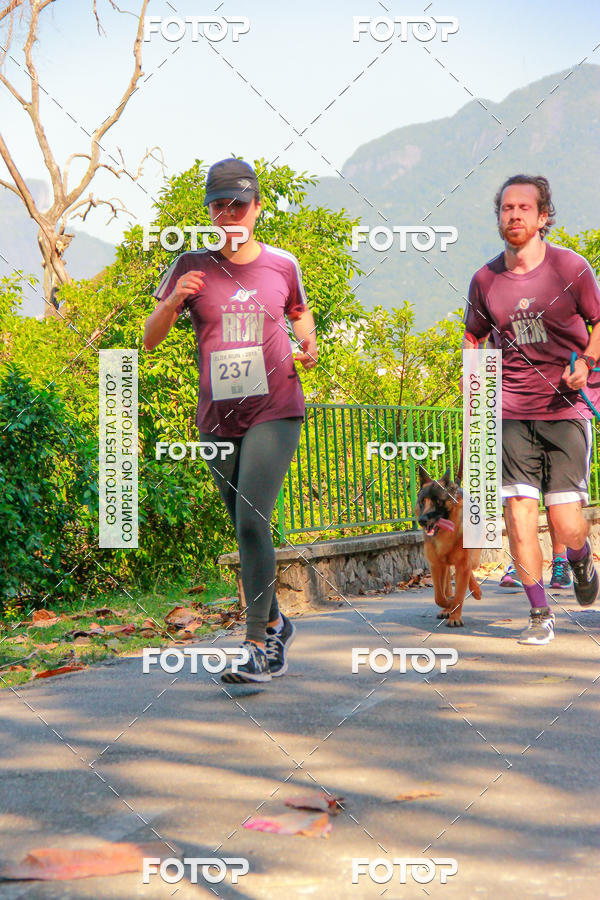 Buy your photos of the eventVelox Run on Fotop