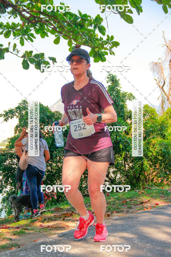 Buy your photos of the eventVelox Run on Fotop