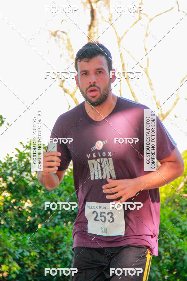 Buy your photos of the eventVelox Run on Fotop