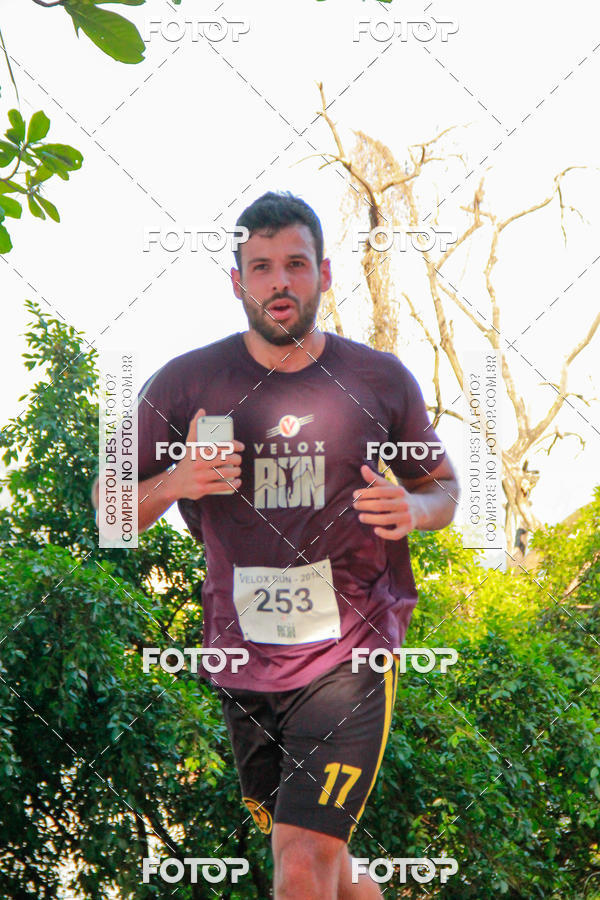 Buy your photos of the eventVelox Run on Fotop