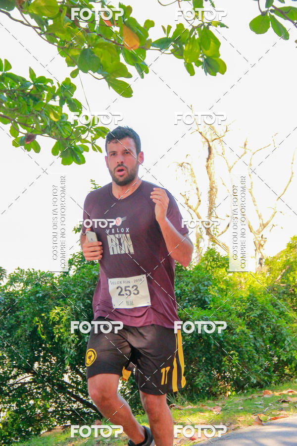 Buy your photos of the eventVelox Run on Fotop