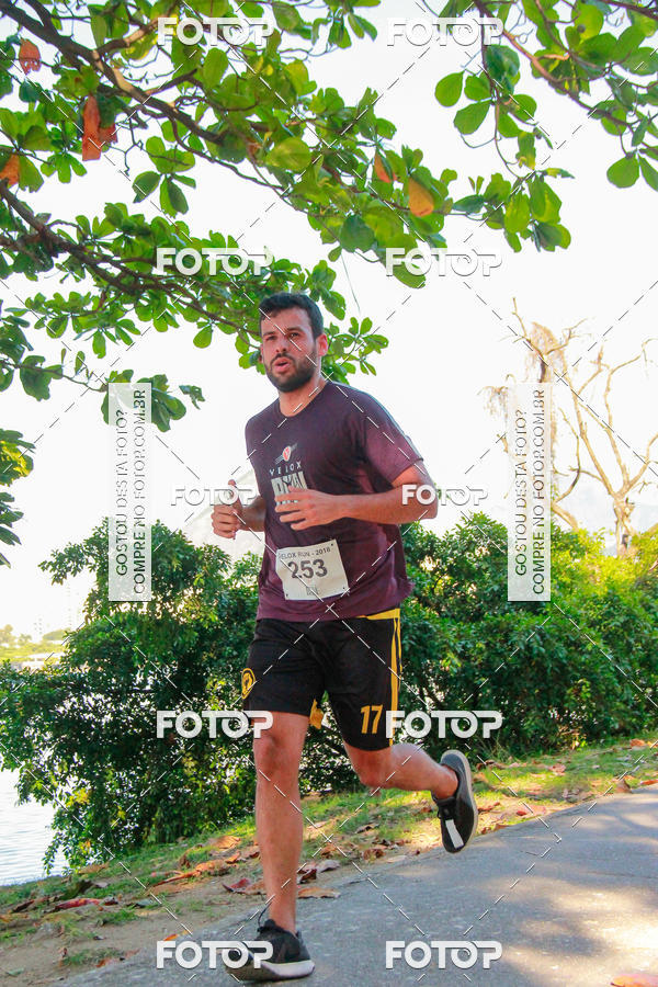 Buy your photos of the eventVelox Run on Fotop