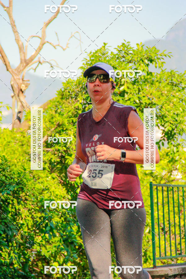 Buy your photos of the eventVelox Run on Fotop